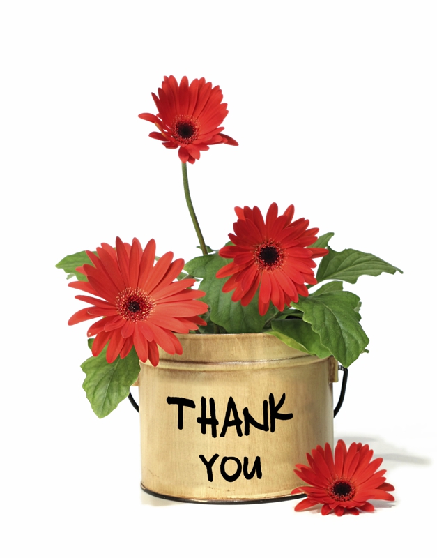 Thank you