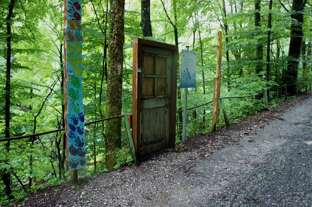 doors doors
