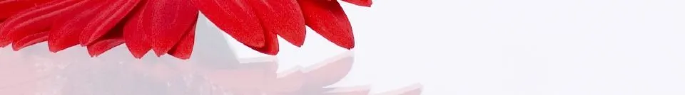 head_left_image